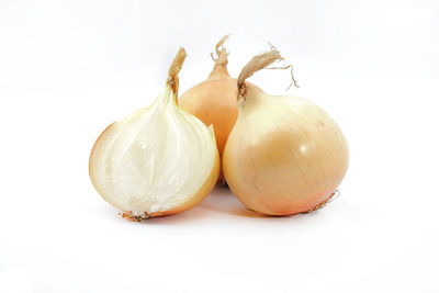 Close-up of eggs against white background