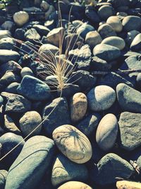 Close-up of pebbles