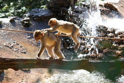 Water splashing on rocks