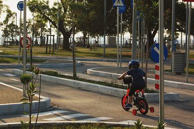 Rear view of boy riding bicycle on footpath in park