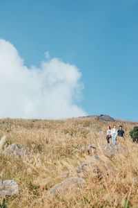 Scenic view of field against clear sky