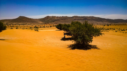 Scenic view of desert against sky