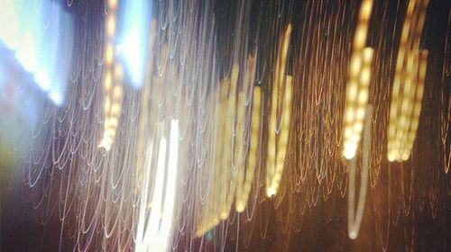 View of trees at sunset