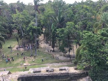 People by trees on landscape against sky