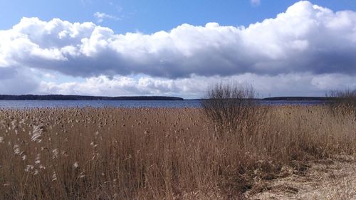 Scenic view of beach against sky