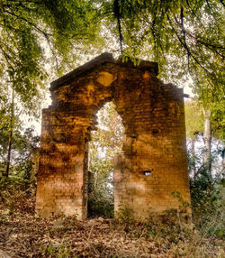 Built structure in forest