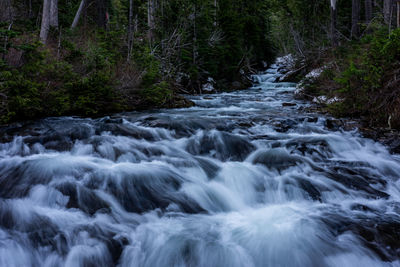 Stream flowing through rocks in forest