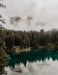 Reflection of trees in lake against sky
