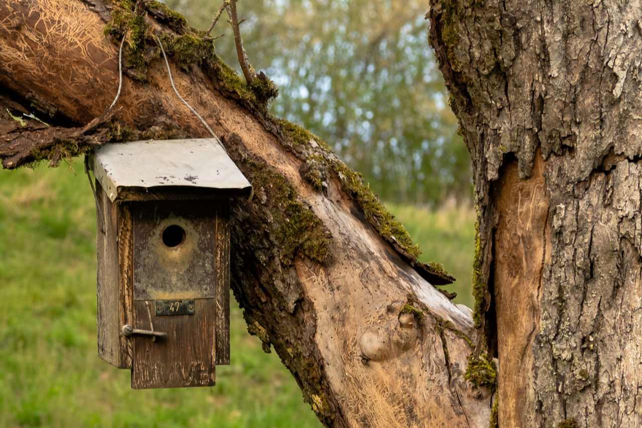 CLOSE-UP OF BIRDHOUSE HANGING ON TREE