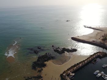 High angle view of birds on beach against sky