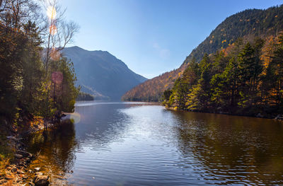 Scenic view of lake by trees against sky