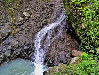 Scenic view of waterfall in forest