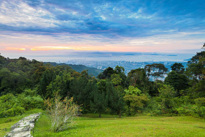 Scenic view of field against sky