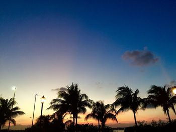 Silhouette palm trees against blue sky at sunset