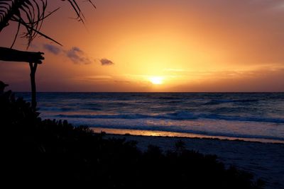 Scenic view of sea at sunset