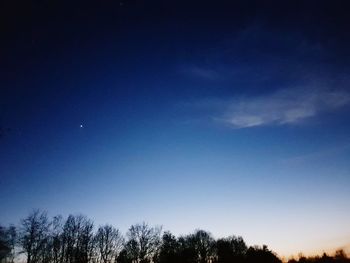 Low angle view of silhouette trees against blue sky