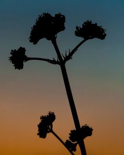 Low angle view of silhouette trees against sky at sunset