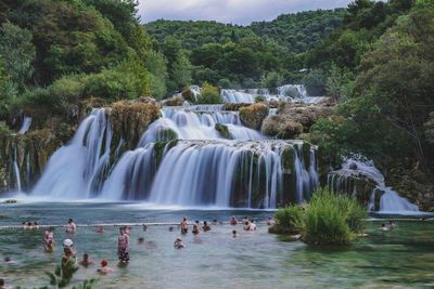 Scenic view of waterfall in forest