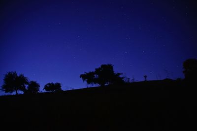 Low angle view of silhouette trees against sky at night