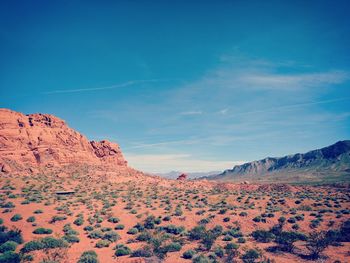 Low angle view of landscape against blue sky