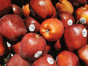 Full frame shot of oranges