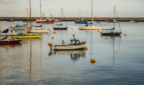 Boats in harbor