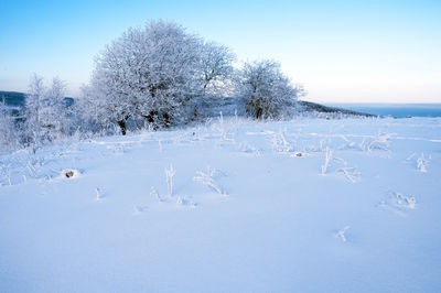 Beautiful winter landscapes in the valleys