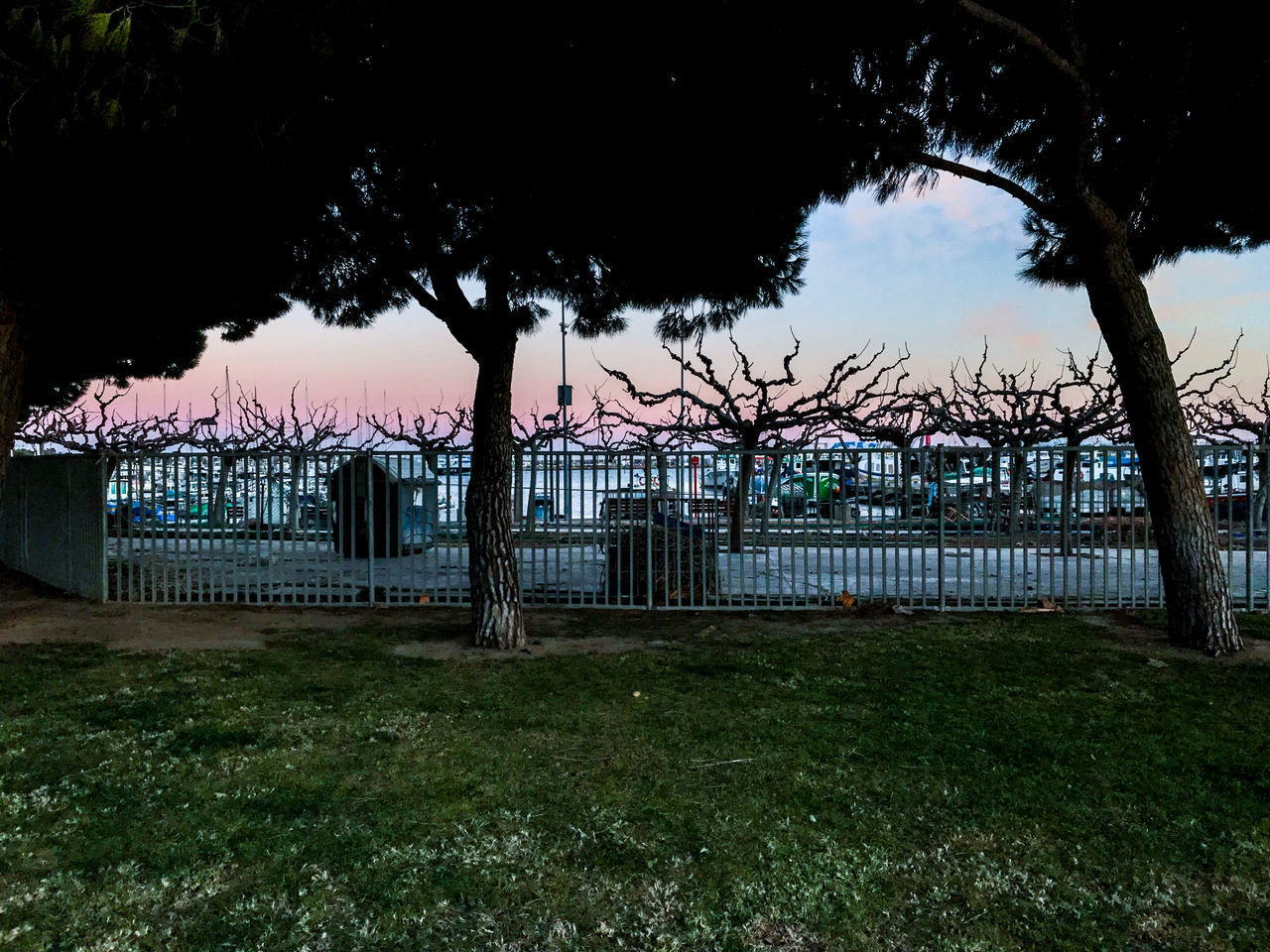 VIEW OF TREES BY RIVER AGAINST SKY