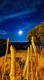 Plants growing on land against sky at night