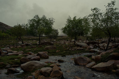 Rocks and trees on field against sky