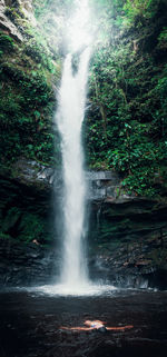 Woman swimming against waterfall in forest