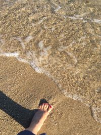 Low section of woman standing at beach