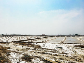 Scenic view of beach against sky during winter