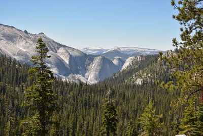 Scenic view of snowcapped mountains against forest