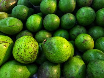 Full frame shot of avocado