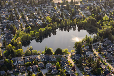 High angle view of trees and buildings in lake