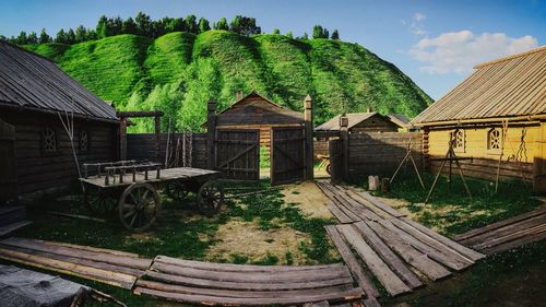 Trees and houses on field against sky