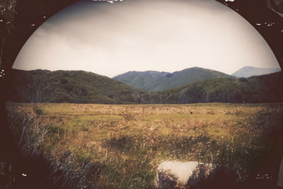 mountain