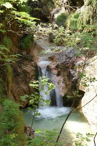 Stream flowing through rocks in forest
