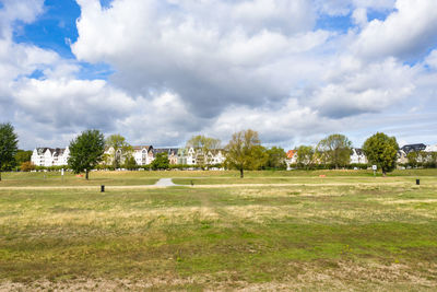 Trees on field against sky