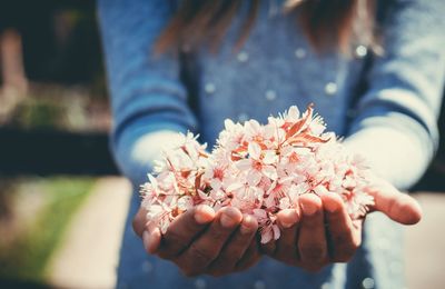 Close-up of hand holding flower