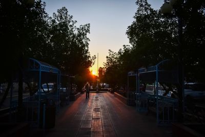 View of trees at sunset