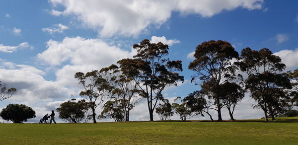 Trees on field against sky