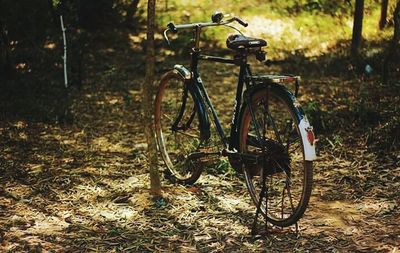 Bicycle parked on bicycle