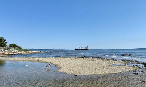 Scenic view of sea against clear sky
