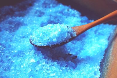 Close-up of food in blue container