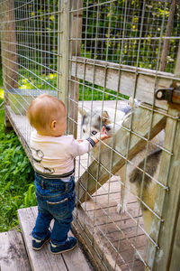 Cute boy seen through fence