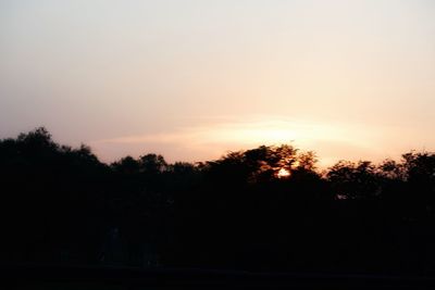 Silhouette trees against sky during sunset