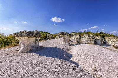 The stone mushrooms