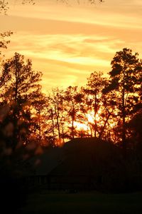 Silhouette trees on field against orange sky